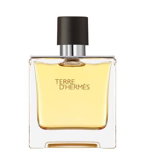 hermes terre erkek parfüm|terre d hermes perfume for men.